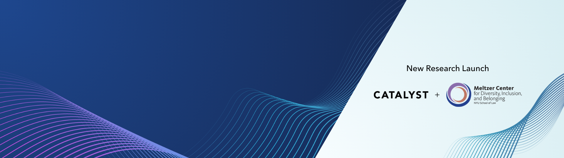 catalyst-home-slider_new-path-to-inclusion